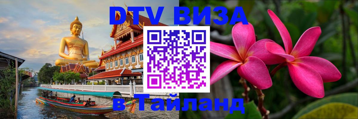 Оформление DTV визы под ключ: стоимость и тарифы, только загранпаспорт - 